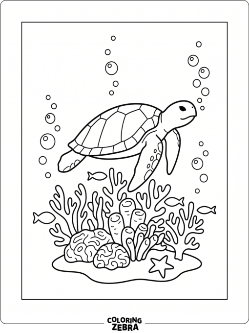 A sea turtle swimming above coral with bubbles
