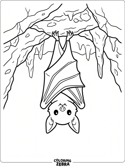 A bat hanging upside down from a cave roof
