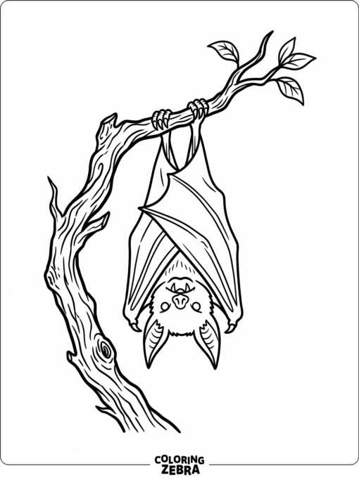 A vampire bat perched on a branch
