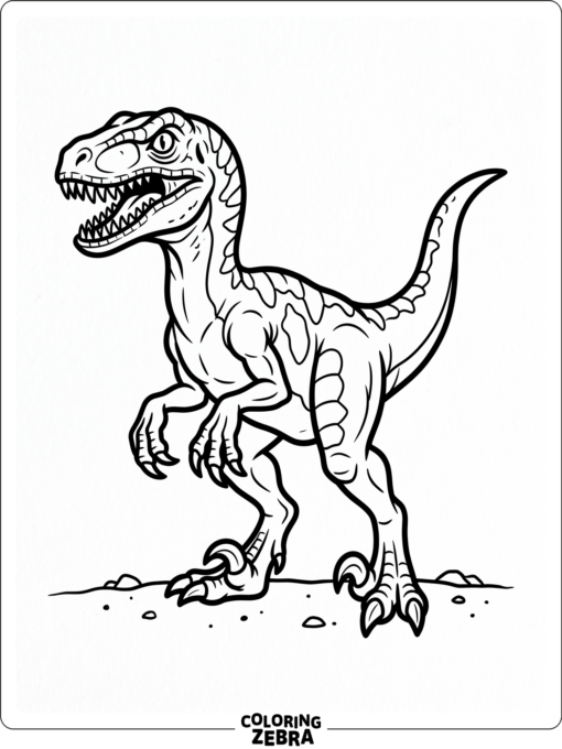 A sharp-toothed velociraptor standing on plain ground