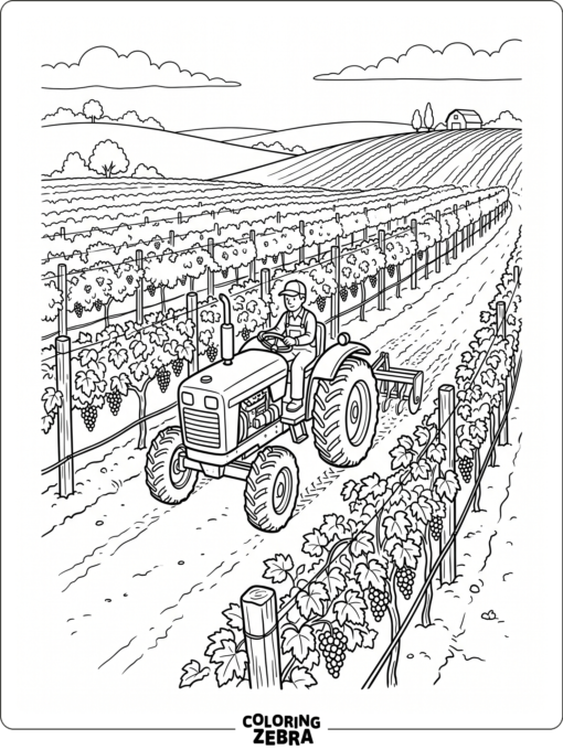 A vineyard tractor traveling along vine rows