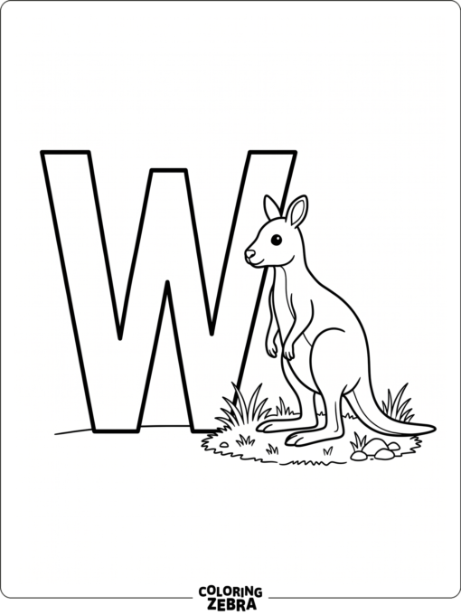 A W with a wallaby near grass