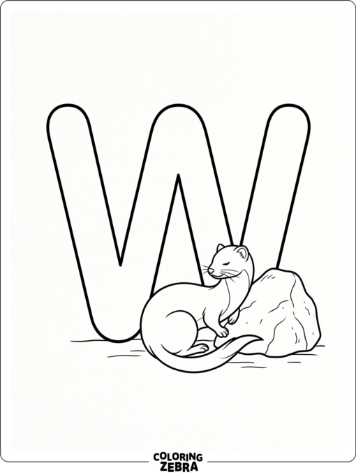 A W with a weasel resting near a rock