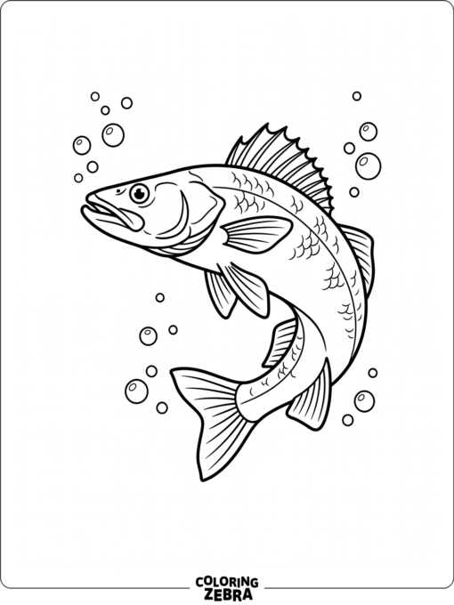 A walleye fish swimming through open water