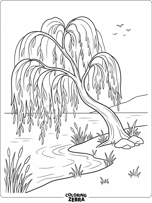 A weeping willow tree with long branches beside calm water