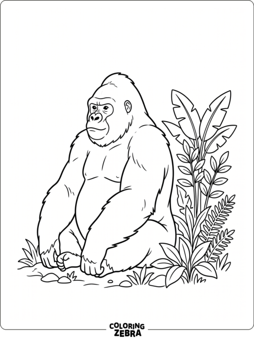 A western gorilla resting near jungle plants