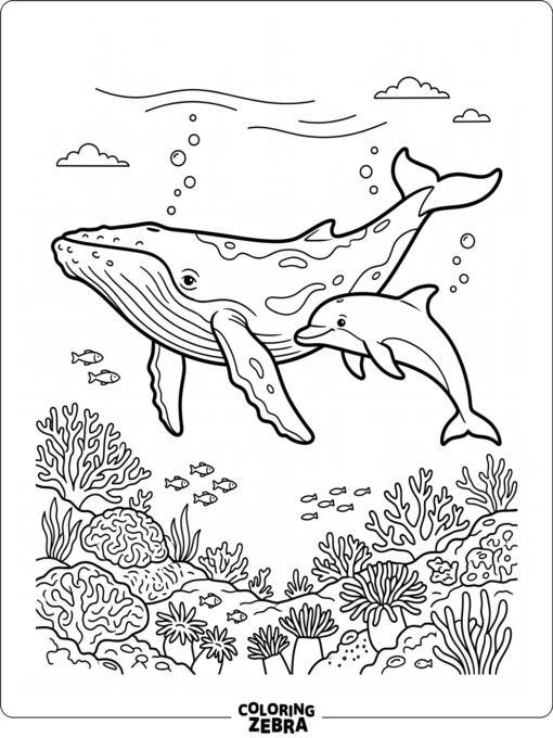 A whale and dolphin swimming over a coral reef