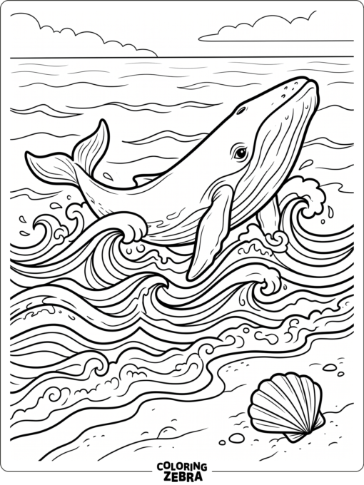 A whale outline with waves and a shell