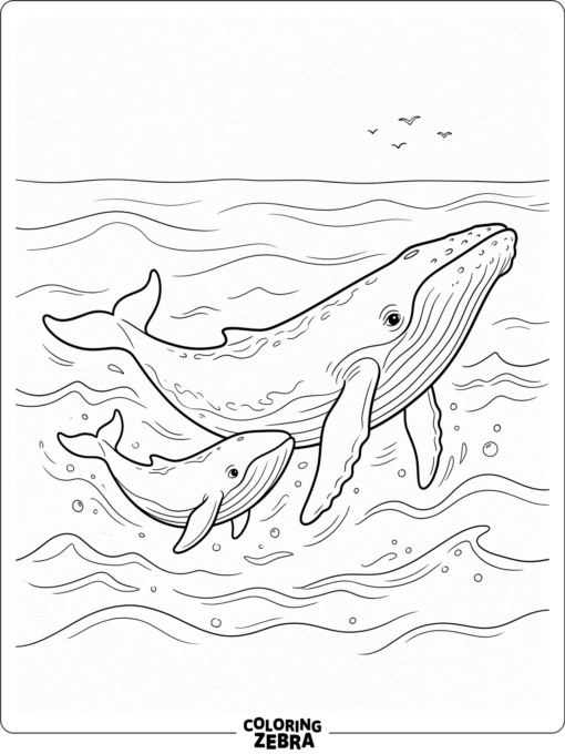 A whale and calf swimming together