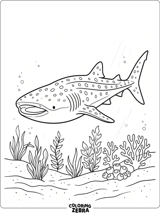 A whale shark over the seafloor with sea plants