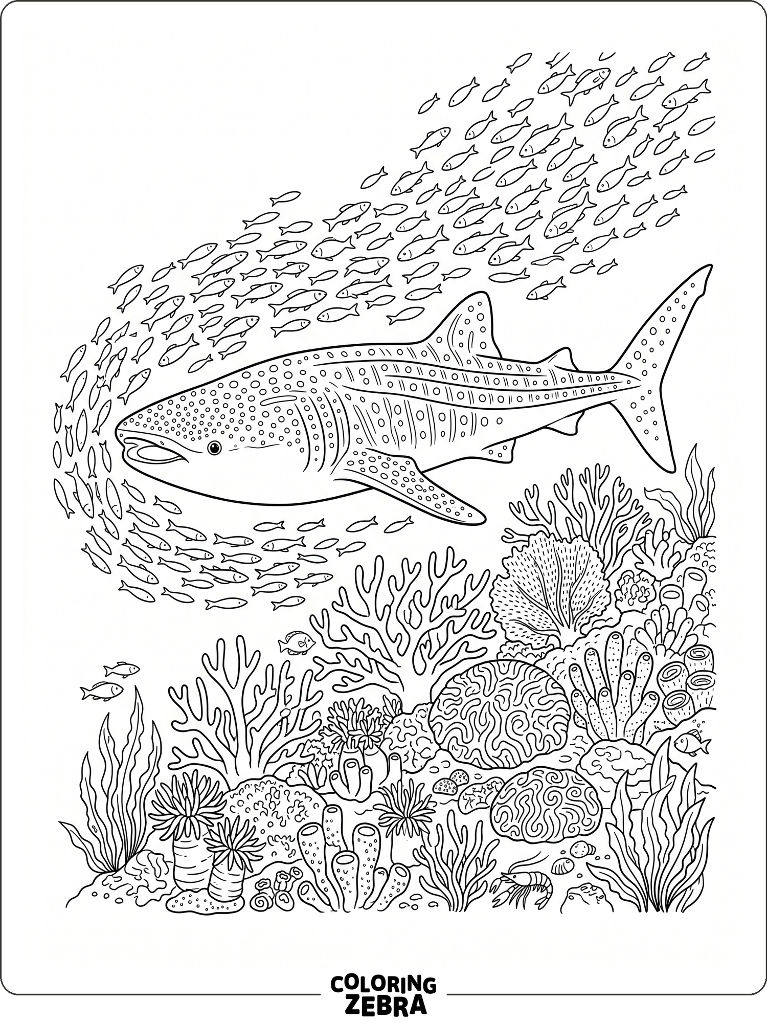A shark swimming past a starfish and seaweed