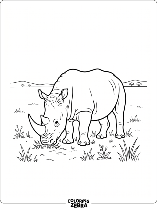 A white rhino grazes in open grass
