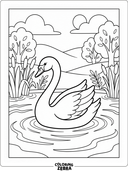 A white swan floating alone on a calm pond