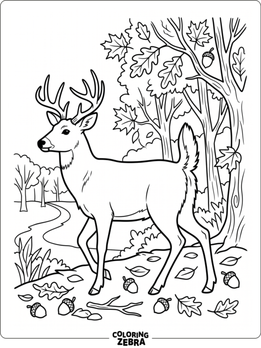 A whitetail buck near autumn trees and acorns