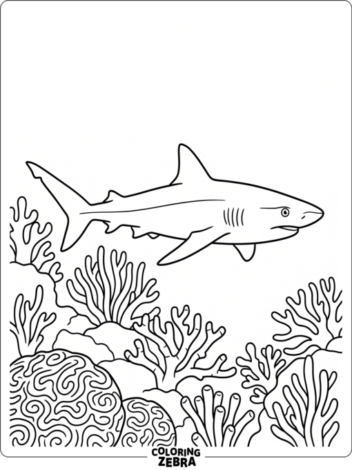 A whitetip reef shark swimming near coral