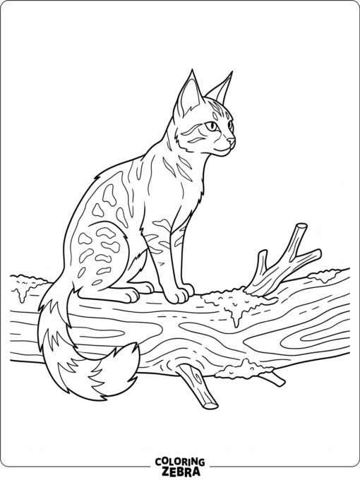 A wild cat perched on a log