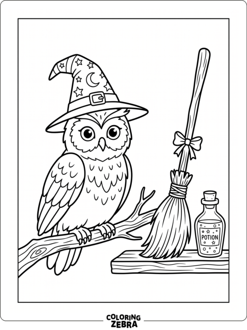 An owl wearing a witch hat near a broom