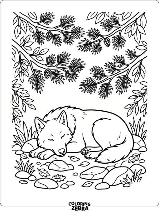 A wolf resting under pine branches and rocks