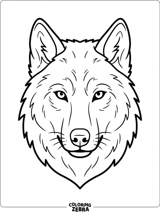 A front-facing wolf head with sharp eyes