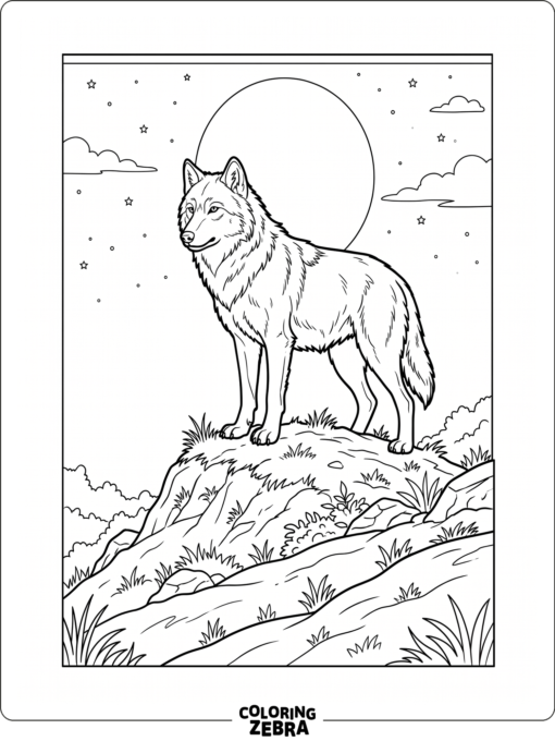 A wolf standing on a hill under the moon