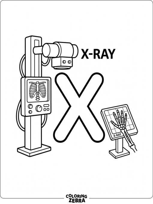 A letter X with an x ray machine and bones