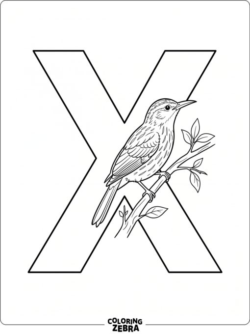 A xenops sits on a branch beside a large letter X