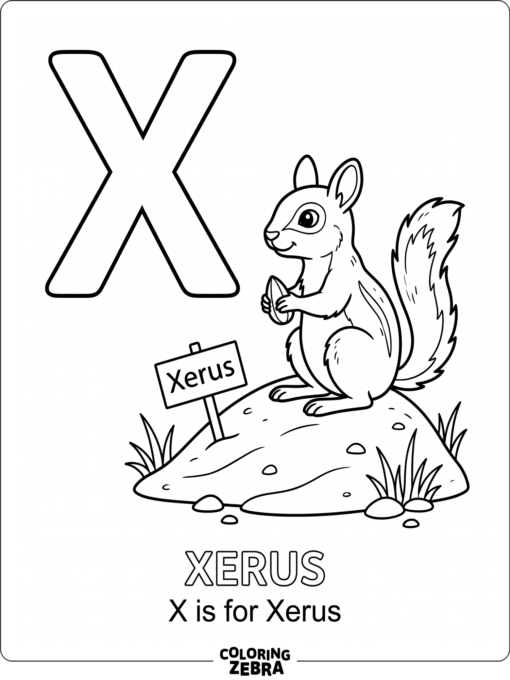 A xerus stands beside a big letter X on a simple sand scene