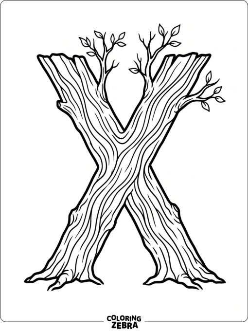 A plant stem cross section shows xylem beside a large letter X