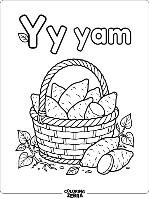 A basket of yams beside the letter Y