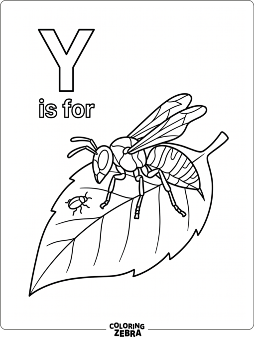 A yellowjacket on a leaf beside the letter Y