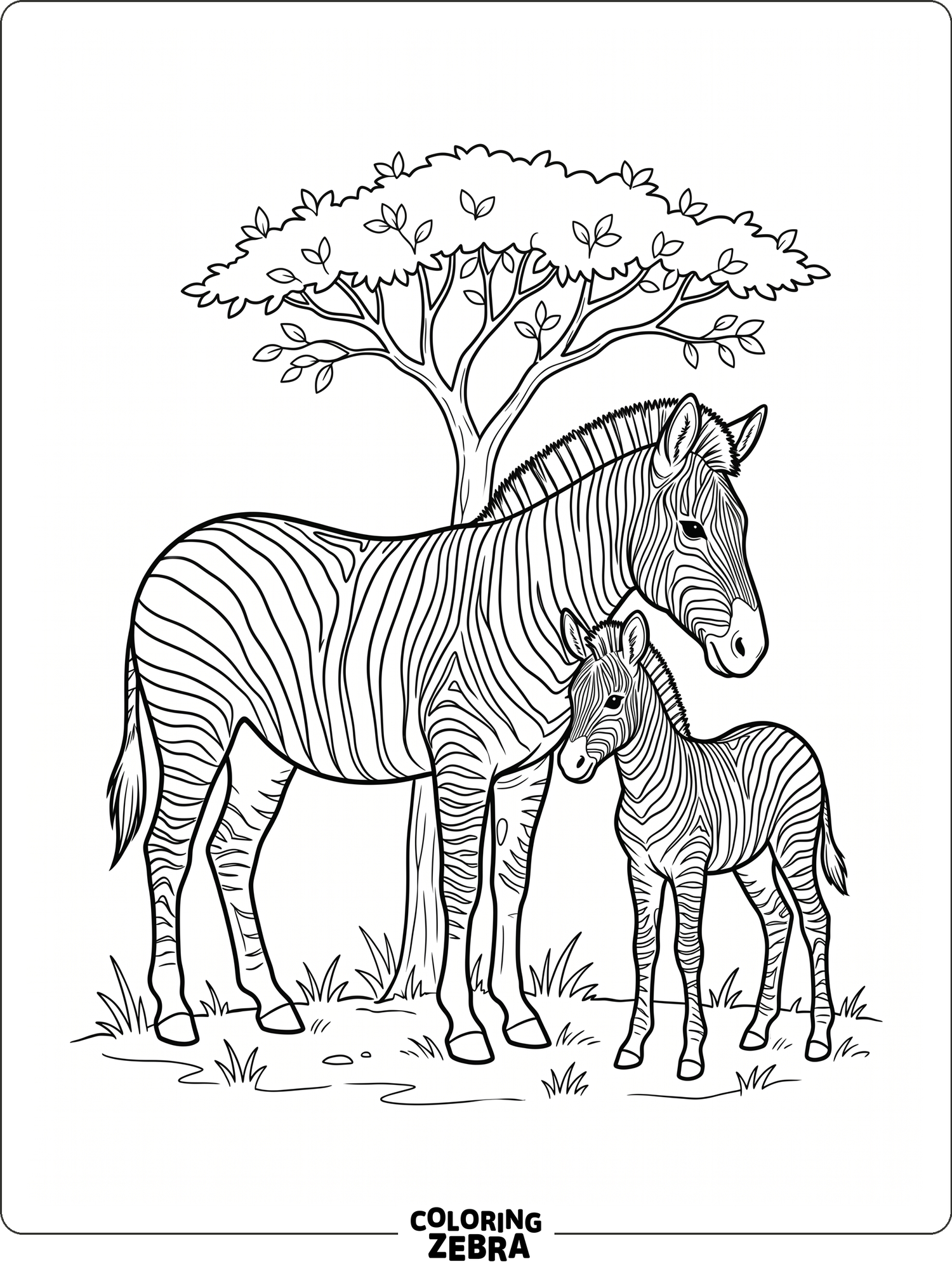 21 Free Zebra Coloring Pages - Printable PDF Sheets